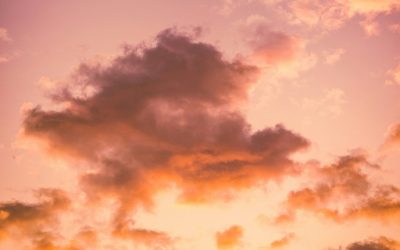 The Quiet Ways We Learn to Leave Our Bodies Part 1