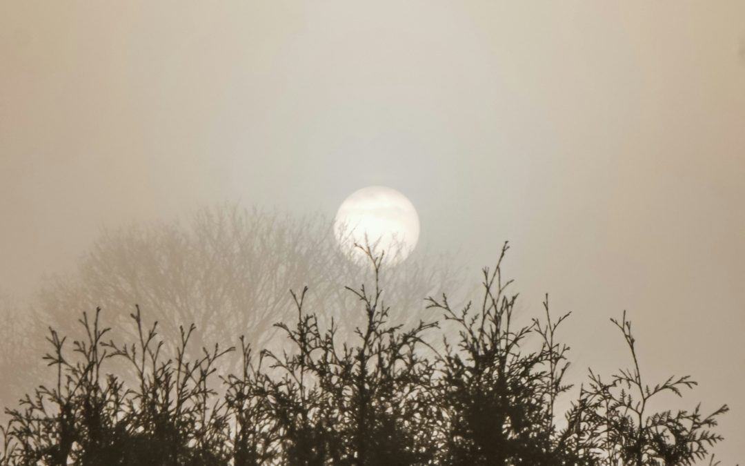 The Body’s Yule: Ancient Rituals for Modern Nervous Systems