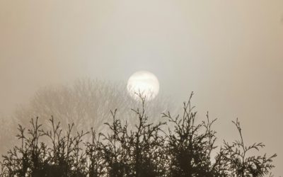 The Body’s Yule: Ancient Rituals for Modern Nervous Systems